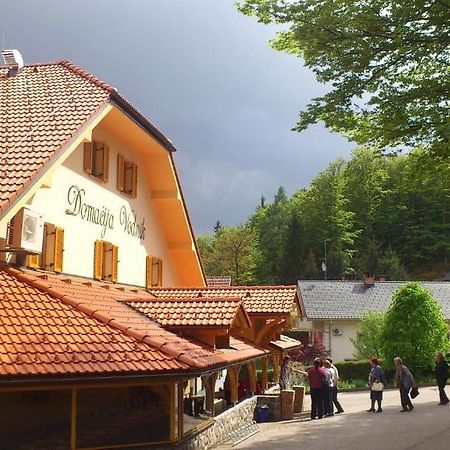 Domacija Vodnik & Apartments Cerklje na Gorenjskem Dış mekan fotoğraf